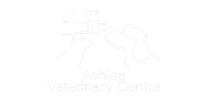 Ashlea-Vets-300 Team and Quality Management