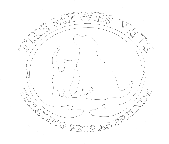 mewes_logo_masked Home Staging