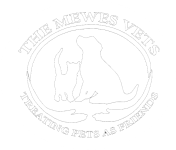 mewes_logo_masked_3 Team and Quality Management