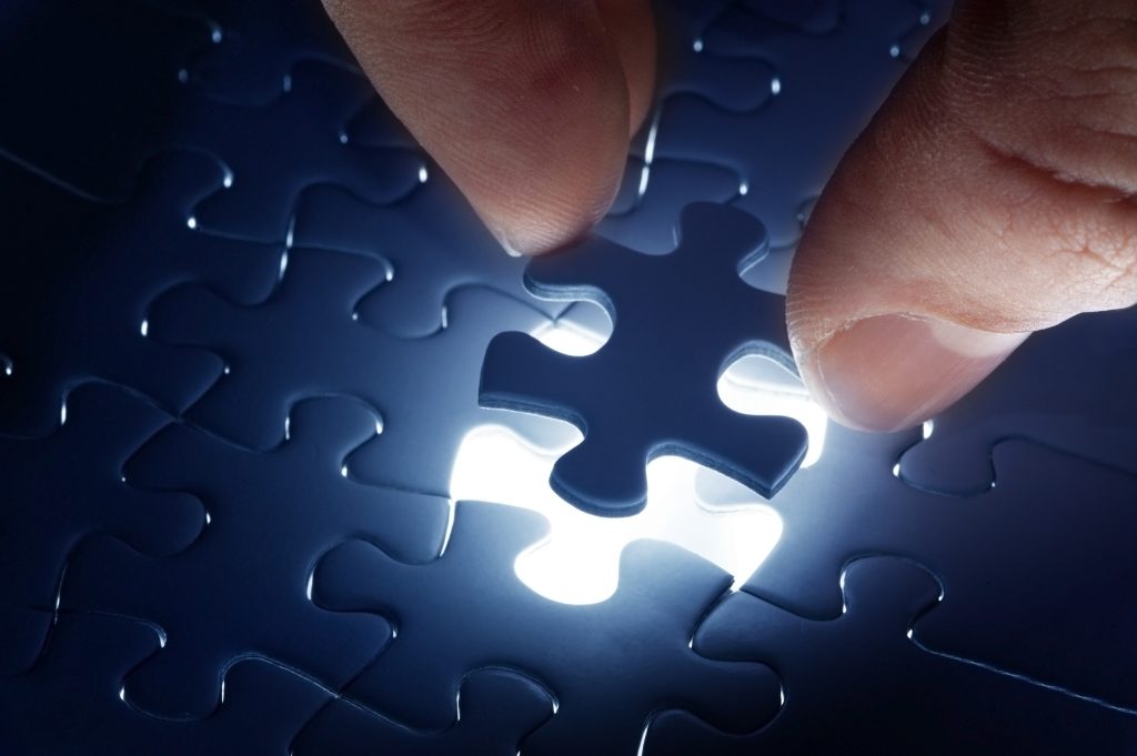 Veterinary practice management Training-Progress is the final piece of the puzzle Training Progress Depositphotos_36462263_XL-1024x681 Training-Progress is the Final Piece of the Kaizen Jigsaw