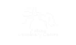 Ashley_Vetinary_Centre Team and Quality Management