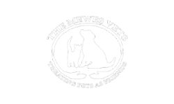 The-Mewes-Vets Team and Quality Management