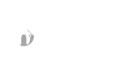 Vet-Dentist Team and Quality Management