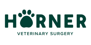 Horner-Veterinary-Surgery Team and Quality Management