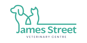 James-Street Team and Quality Management