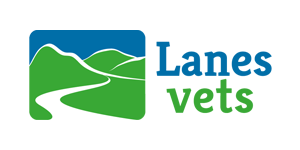 Lanes-Vets Team and Quality Management