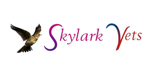 Skylarks-300px Team and Quality Management