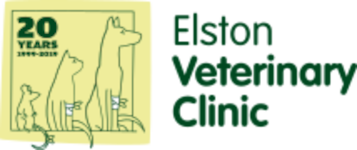 vet_logo1b Team and Quality Management