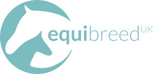 Logo-Teal Team and Quality Management